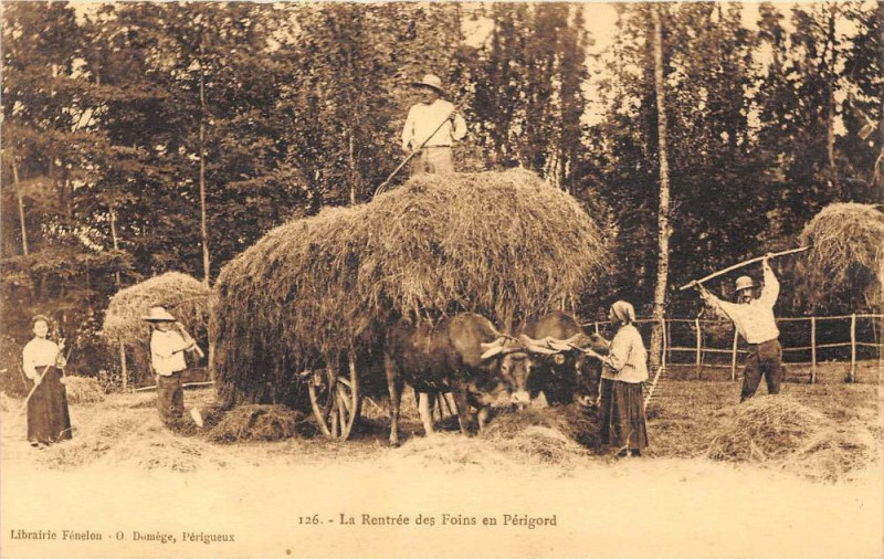 Carte postale ancienne La Rentree Des Foins En Perigord (Metier Agriculture