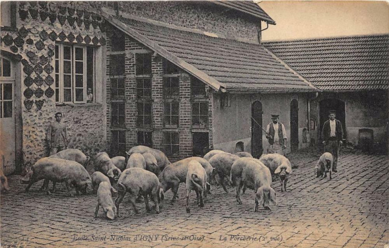 Carte postale ancienne Ecole Saint Nicolas D'Igny La Porcherie (cliché pas courant à Igny