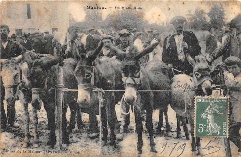 Carte postale ancienne Saujon Foire Aux Anes à Saujon