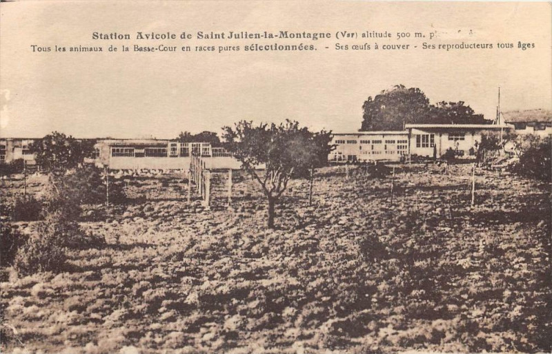 Carte postale ancienne Station Avicole De Saint Julien La Montagne Var Tous Les Animaux De La Ba à Saint-Julien
