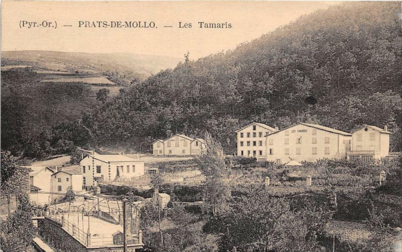 Carte postale ancienne Prats De Mollo Les Tamaris à Llo