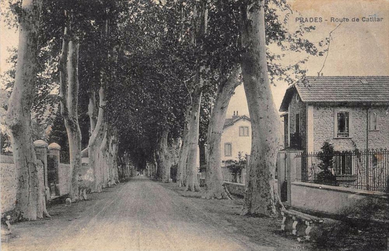 Carte postale ancienne Prades Route De Catllar à Prades