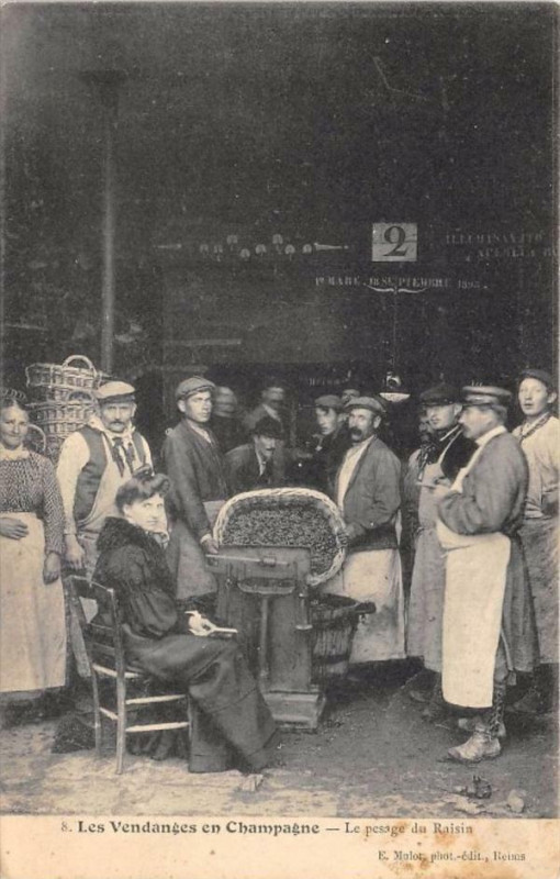 Carte postale ancienne Les Vendanges En Champagne Le Pesage Du Raisin