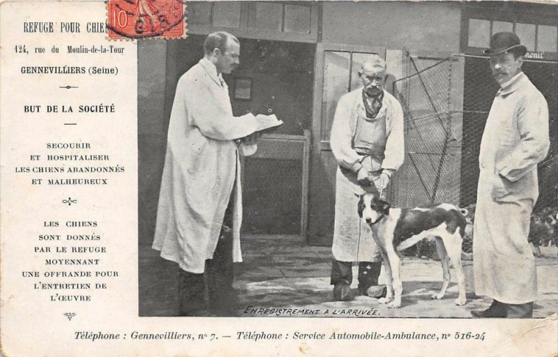 Carte postale ancienne Gennevilliers Refuge Pour Chiens Enregistrement A L'Arrivee (cliché pas c à Gennevilliers