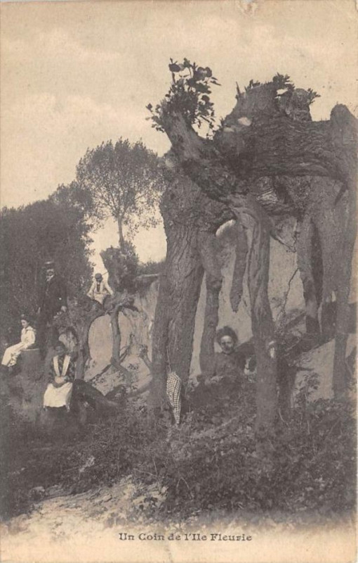 Carte postale ancienne Un Coin De L'Ile Fleurie (cliché vertical