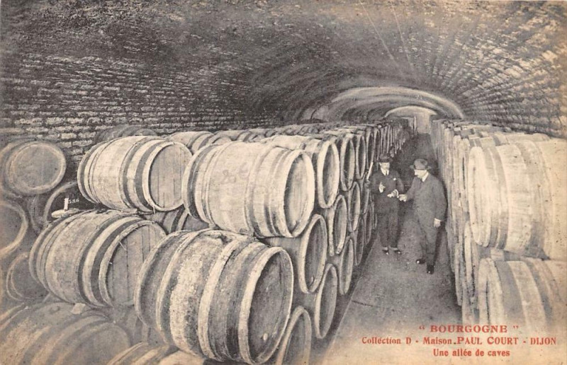 Carte postale ancienne Dijon Bourgogne Maison Paul Court Une Allee De Caves à Dijon