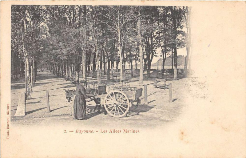 Carte postale ancienne Bayonne Les Allees Marines (dos non divisé à Bayonne