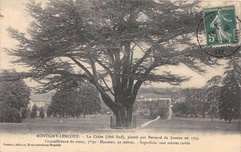 Carte postale ancienne Meaux Rue Saint-Nicolas à Meaux