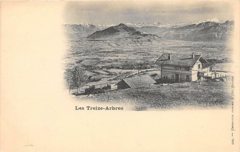 Carte postale ancienne Les Treize Arbres  (dos non divisé)