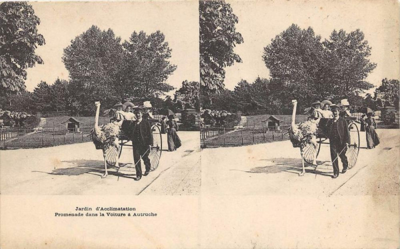 Carte postale ancienne Jardin d'Acclimatation - Promenade dans la Voiture à Autruche à Neuilly-sur-Seine