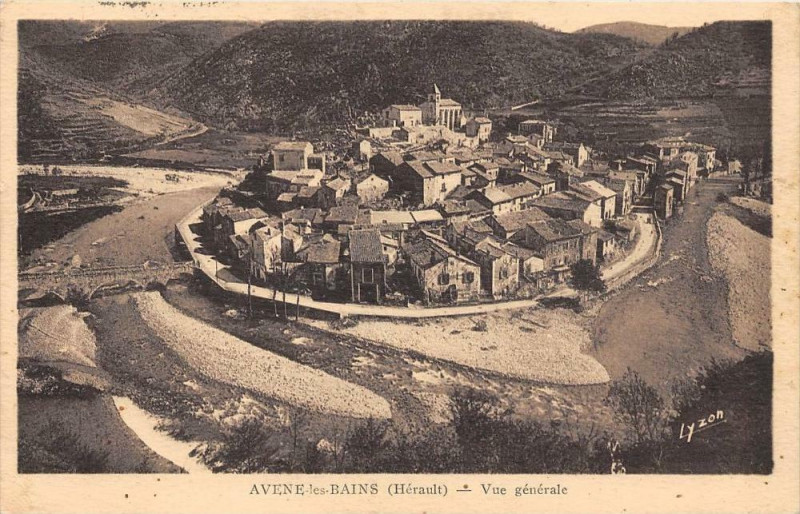 Carte postale ancienne Avenue Vue Generale