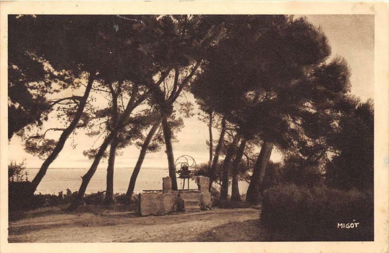 Carte postale ancienne Palavas Les Flots Les Pins à Palavas-les-Flots