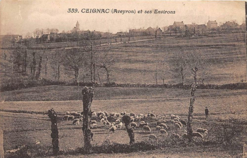 Carte postale ancienne Ceignac Et Ses Environs