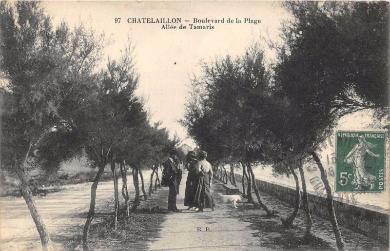 Carte postale ancienne Chatelaillon Boulevard De La Plage Allee De Tamaris