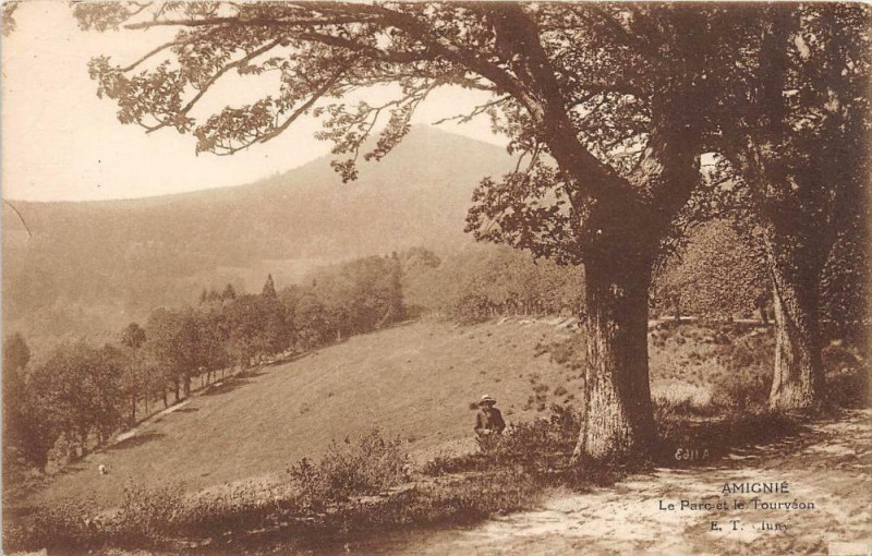 Carte postale ancienne Mignie Le Parc Et Le Tourveon