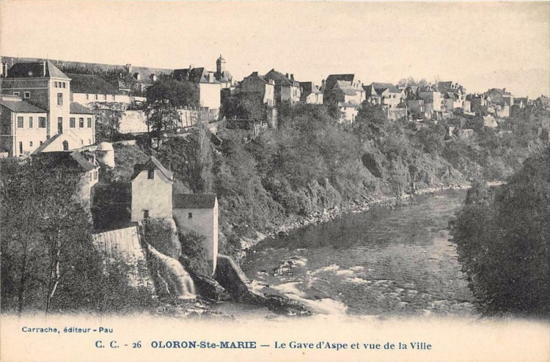 Carte postale ancienne Oloron Sainte-Marie Le Gave D'Aspe Et Vue Sur La Ville