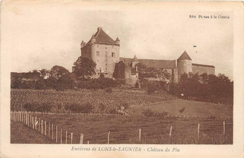 Carte postale ancienne Environs De Lons Le Saunier Chateau Du Pin à Lons-le-Saunier