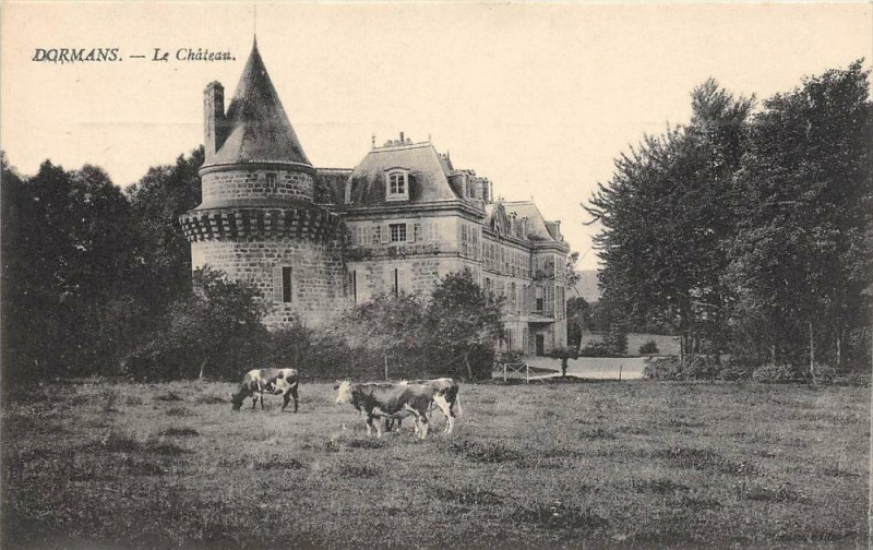 Carte postale ancienne Dormans Le Chateau à Dormans