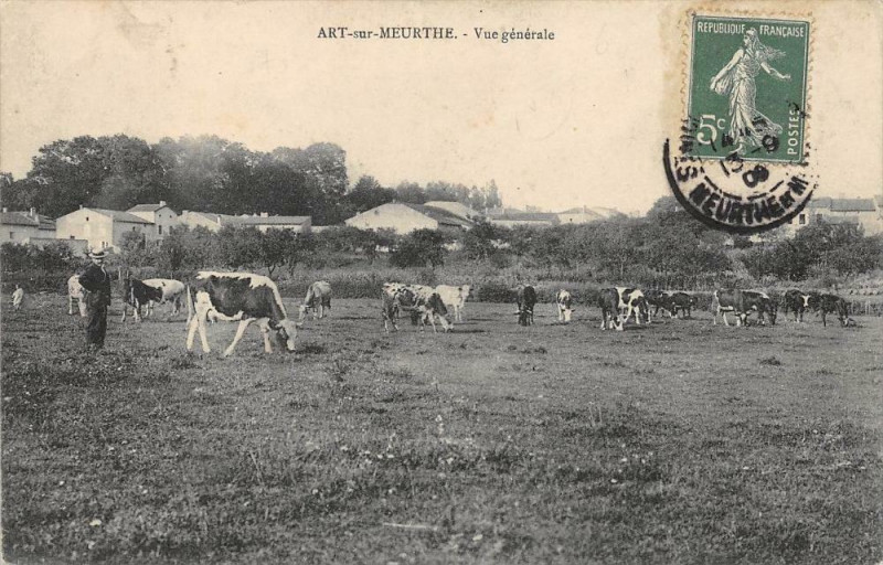 Carte postale ancienne Art Sur Meuse Vue Generale