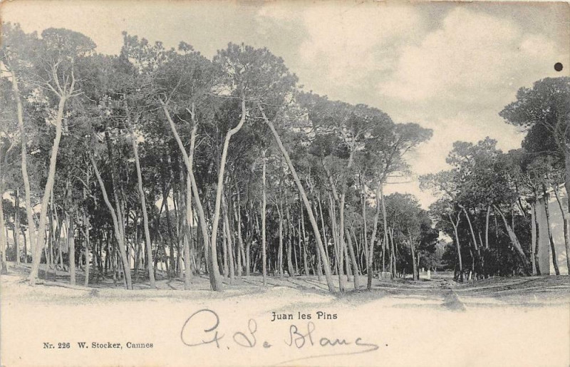 Carte postale ancienne Juan Les Pins (dos non divisé)