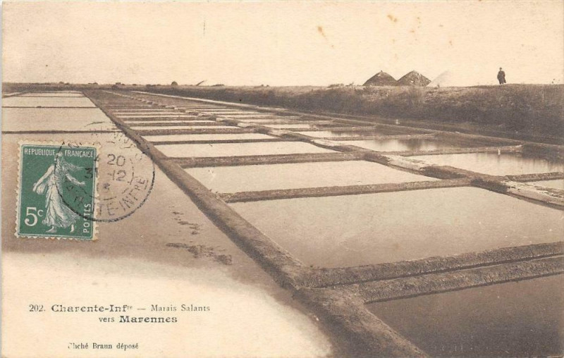 Carte postale ancienne Marais Salants Vers Marennes
