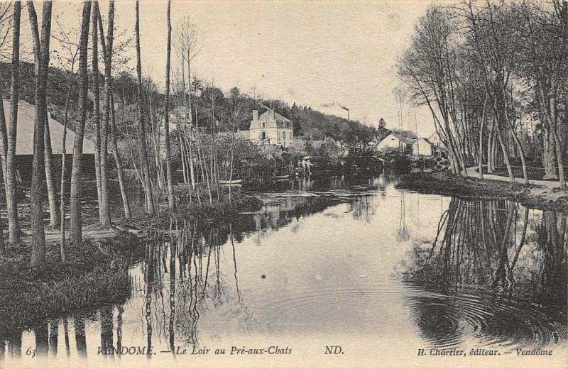 Carte postale ancienne Vendome Le Loir Au Pre Aux Chats à Vendôme