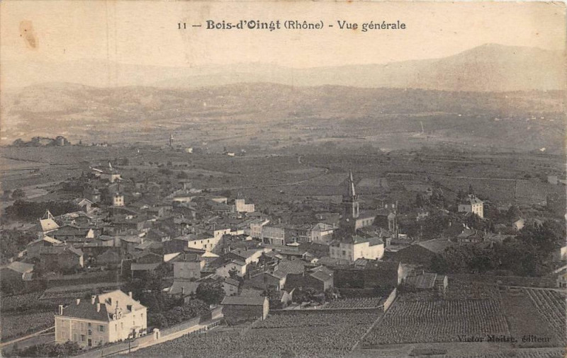 Carte postale ancienne Bois D´OINGT Vue Generale