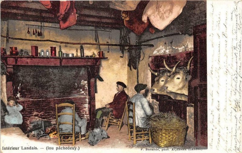 Carte postale ancienne Interieur Landais Lou Pachedeuy (dos non divisé)