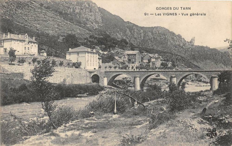 Carte postale ancienne Les Vignes Vue Generale