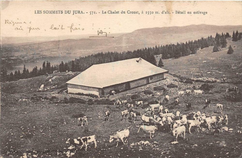 Carte postale ancienne Le Chalet Du Crozat Betail En Estivage
