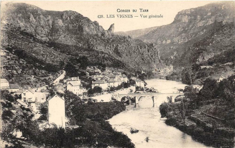 Carte postale ancienne Les Vignes Vue Generale