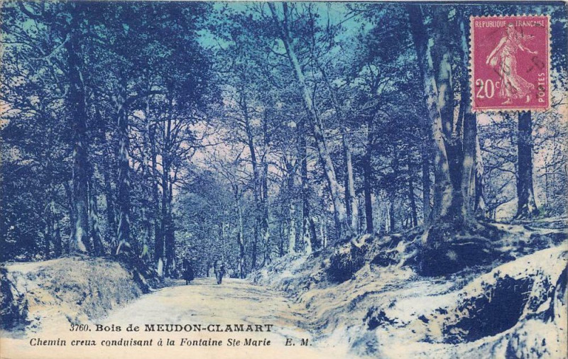 Carte postale ancienne Bois De Meudon Clamart Chemin Creux à Meudon