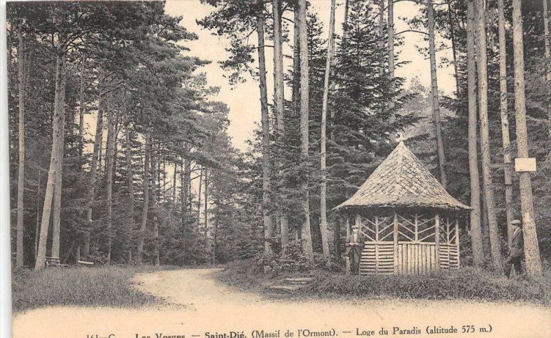 Carte postale ancienne Saint Die Massif Ormont Loge Du Paradis