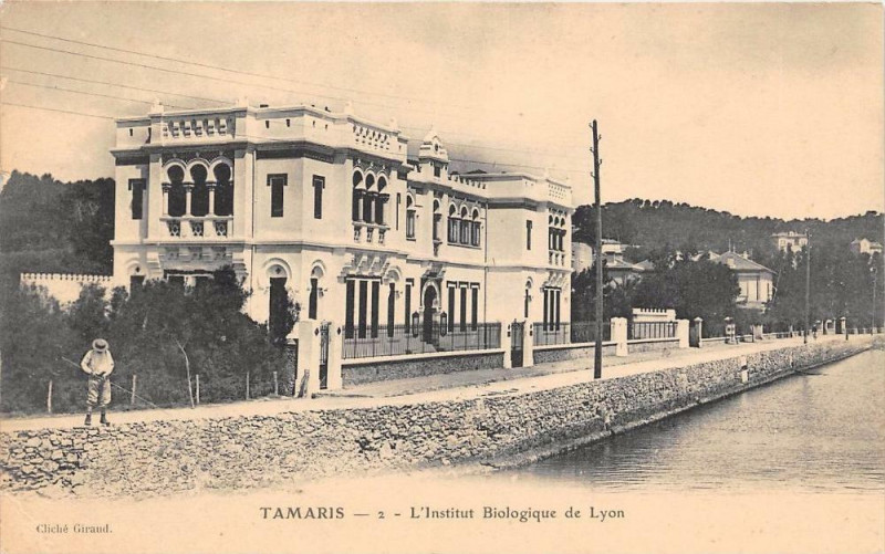 Carte postale ancienne Tamaris L'Institut Biologique De Lyon