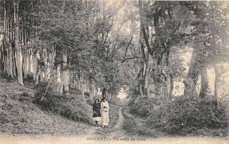 Carte postale ancienne Saint Cast Un Coin De Bois
