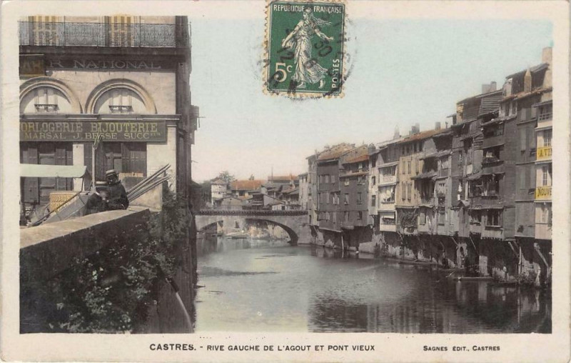 Carte postale ancienne Castres Rive Gauche De L'Agout Et Pont Vieux à Castres