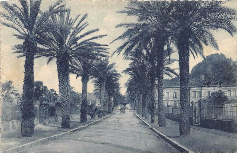 Carte postale ancienne Hyeres Centre De L'Avenue Alexis Godillot à Hyères
