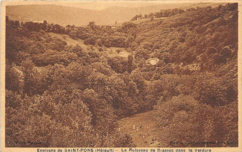 Carte postale ancienne Env.saint Pons Le Ruisseau De Brassac Dans La Verdure
