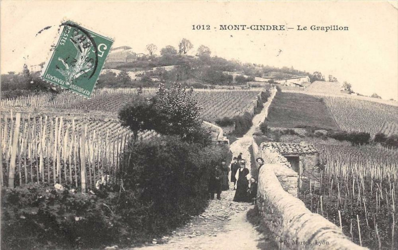 Carte postale ancienne Mont Cindre Le Grapillon