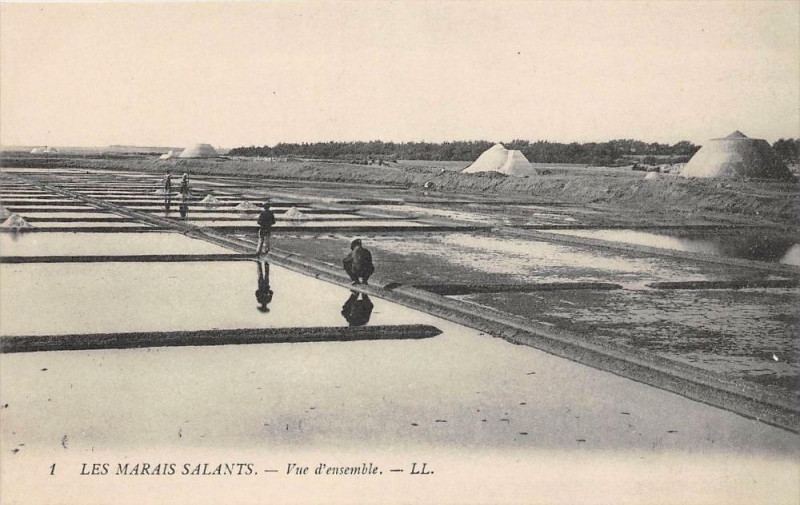 Carte postale ancienne Les Marais Salants Vue D'Ensemble