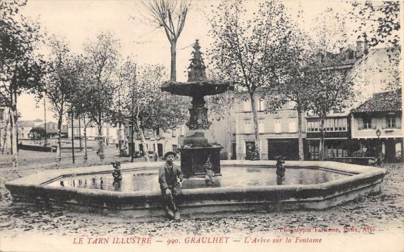Carte postale ancienne Graulhet L'Arbre Sur La Fontaine à Graulhet