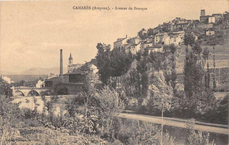Carte postale ancienne Camares Avenue De Brusque à Camarès