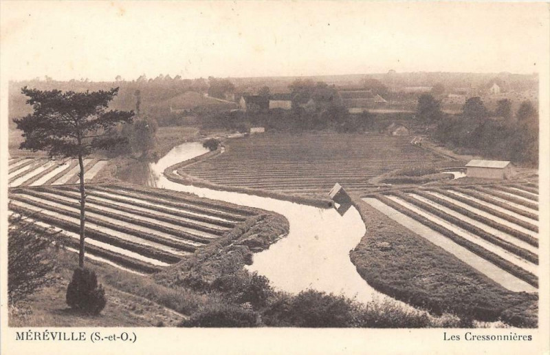 Carte postale ancienne 21 Mereville Les Cressonnieres