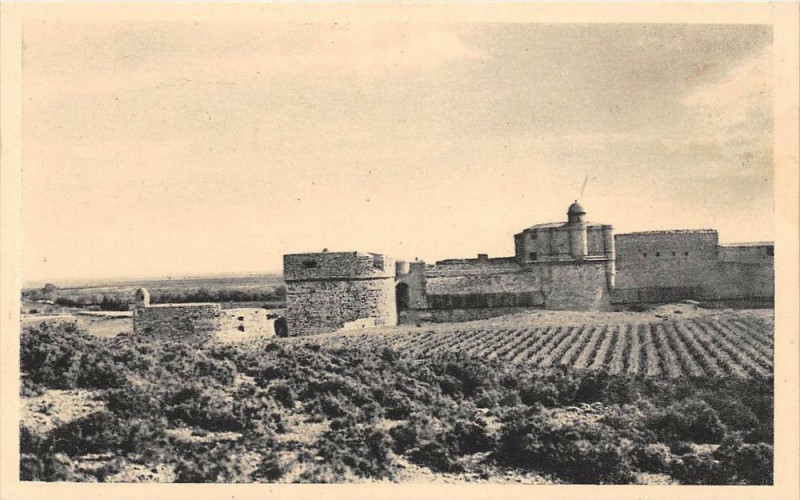 Carte postale ancienne Salses Le Fort