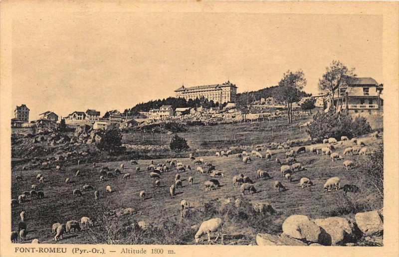Carte postale ancienne Font Romeu