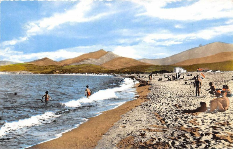Carte postale ancienne SM66 Argeles Sur Mer La Plage Et Les Alberes à Ur