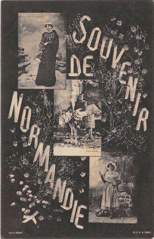 Carte postale ancienne Souvenir De Normandie