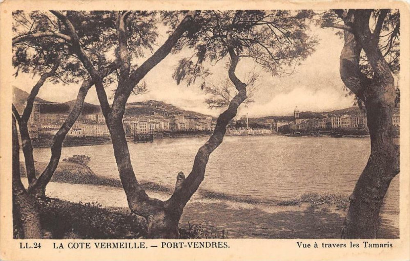 Carte postale ancienne Port Vendres Vue A Travers Les Tamaris à Port-Vendres