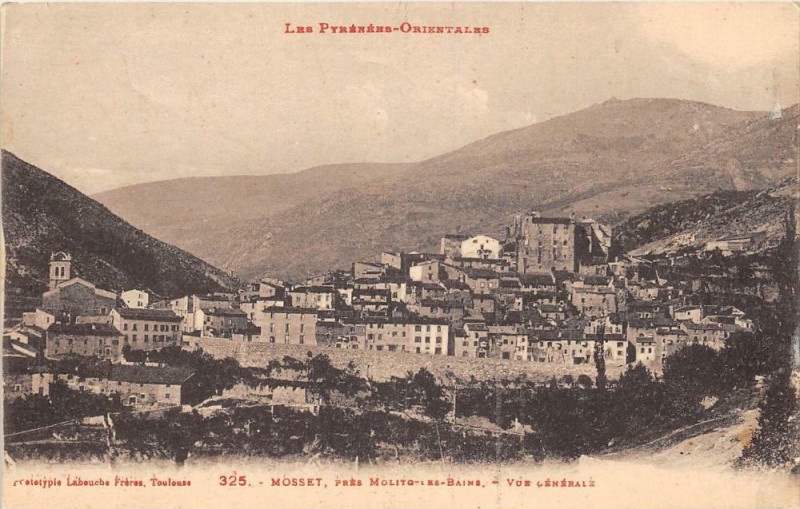 Carte postale ancienne Mosset Vue Generale à Mosset