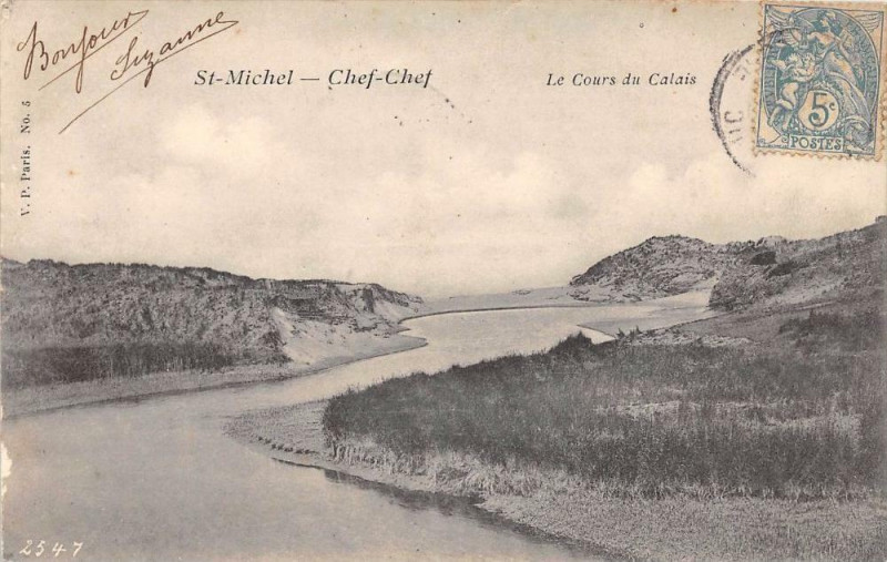 Carte postale ancienne Saint Michel Chef Chef Le Cours Du Calais à Saint-Michel-Chef-Chef